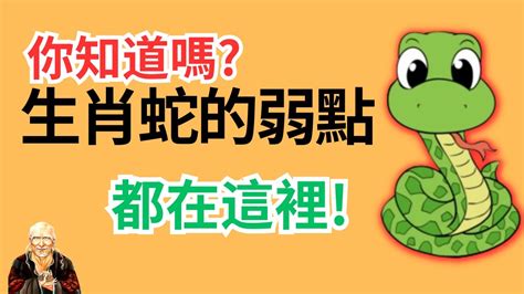 屬蛇男個性|生肖蛇: 性格，愛情，2024運勢，生肖1989，2001，2013